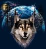   mr-wolf